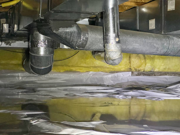 Best Water damage contractors near me  in Indian River Shores, FL