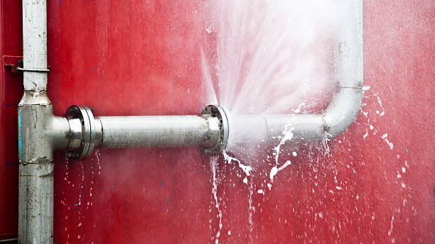 Best Basement water damage restoration  in Indian River Shores, FL